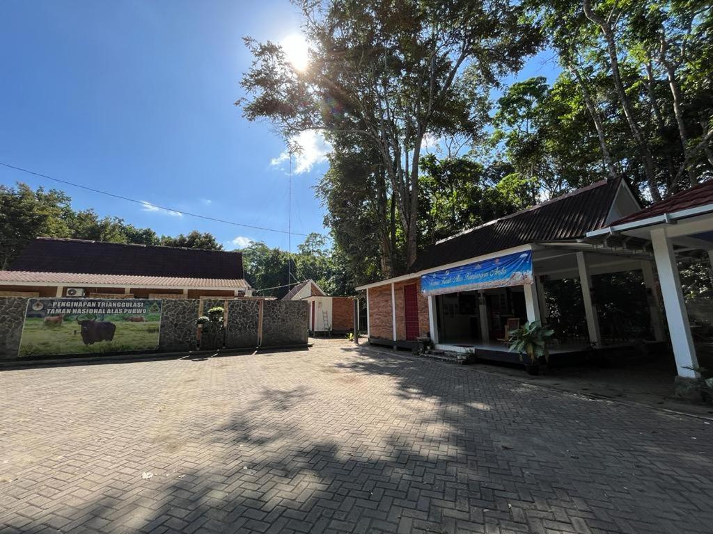 Capital O 92612 Penginapan D'Alas Purwo & Beachnearpadang Savana Sadengan Banyuwangi  Bagian luar foto